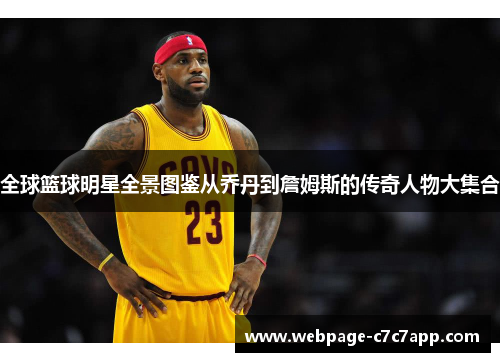 全球篮球明星全景图鉴从乔丹到詹姆斯的传奇人物大集合