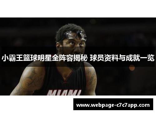 小霸王篮球明星全阵容揭秘 球员资料与成就一览
